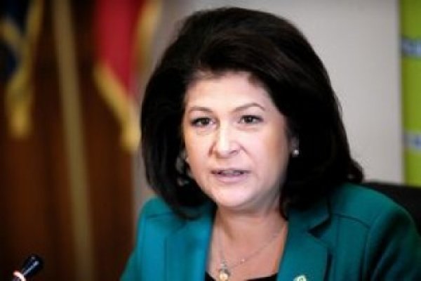 Rovana Plumb: Victor Ponta ar fi trebuit să meargă la Bruxelles